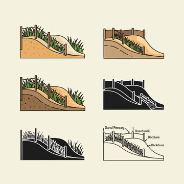 Sand fence protecting beach dunes from erosion with grass and sand  different views and diagram