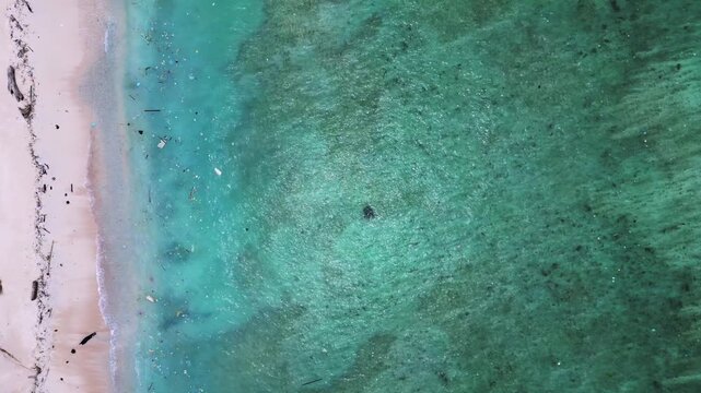 Sea turtle swimming near plastic polluted ocean shore. Best aerial view Besdrone