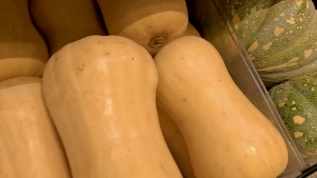 Close Up Display of Butternut Squash and Green Pumpkins on Shelf