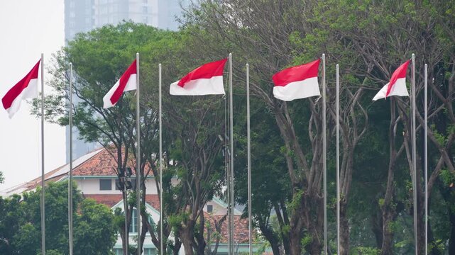 Indonesian flags (Merah Putih) waving against a backdrop of dense, lush green trees on a slightly overcast day, symbolizing national pride.