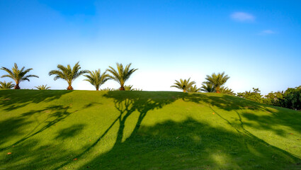 Obraz premium Alma 5-star resort in Cam Ranh district, Khanh Hoa province, Vietnam - March 19, 2026: Blue sky, green grass, and palm trees at Alma 5-star resort in Cam Ranh district, Khanh Hoa province, Vietnam
