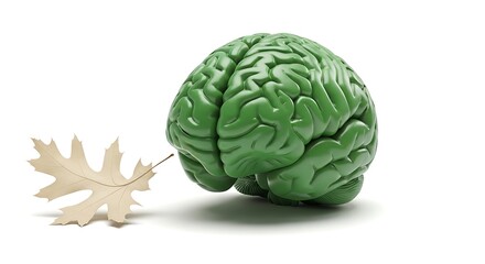 Fototapeta premium Green brain model with beige leaf anatomy