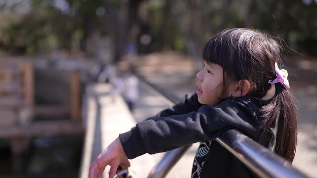 Girl leans on rail, eyes fixed on distant view. Sunlight glows warmly on her dark, pony-tailed hair. She wears dark hoodie, smiles gently, curious. Park setting, wooden bridge