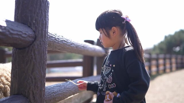 Little girl gently feeds a sheep at a farm. She bends close, showing curiosity and care. Her hair is tied back with a small bow. The sheep looks toward her with calm eyes