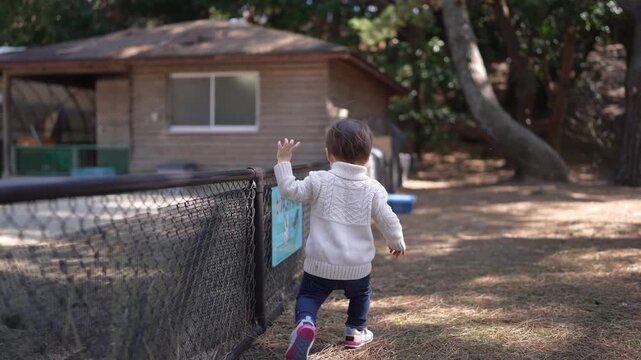 Little child gazes curiously at animal enclosure. Child points toward nearby shelter with eager expression. Sunlight glints gently on child's face and sweater