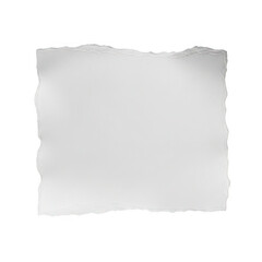 Fototapeta premium A gray rectangle with a torn paper effect on a white background isolated on transparent background