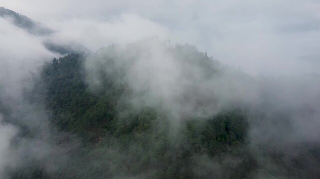 Aerial view flying through clouds towards a lush mountain forest in San Jose del Pacifico