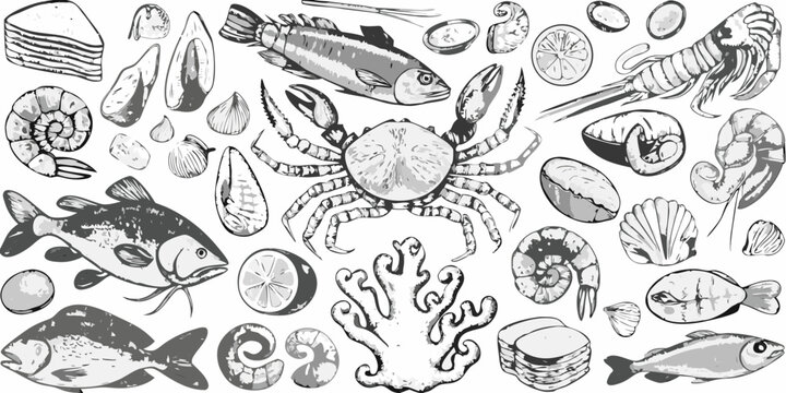 Vintage style illustration featuring various seafood and marine life elements