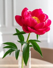 Vibrant Red Peony Flower in Clear Vase.