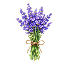 Fototapeta premium Delicate watercolor lavender bundle illustration