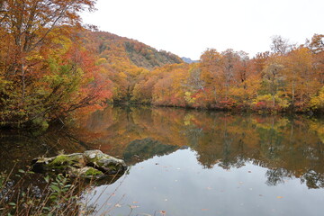 Naklejka premium 紅葉の池