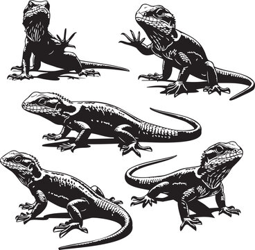 A black and white drawing of several lizards