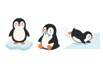 Obraz premium Cute baby penguin collection standing eating fish and sliding in scandinavian style vector