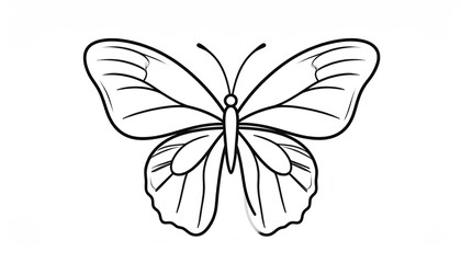 Fototapeta premium Detailed Outline Drawing of a Beautiful Butterfly.