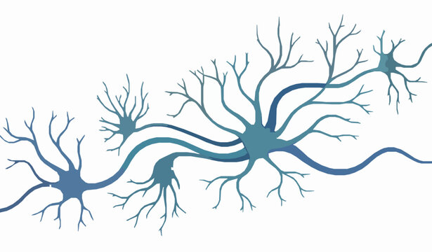 Abstract neuron network vector with dendrites and axons brain cell illustration isolated on white