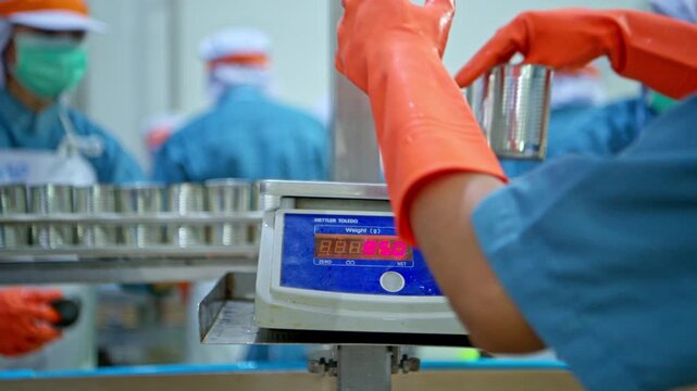 aquaculture, belt, can, canned, catch, clean, cold, contain, control, conveyor, digital, environment, equipment, factory, fill, fish, flow, food, fresh, glove, industrial, line, machine, machinery, ma