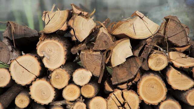 나무, 장작, 목재, 갈색, 네이처, 더미, 베다, 결, 나무로 되는, 장작더미, 내추럴, 껍질, 연료, 공업, 불