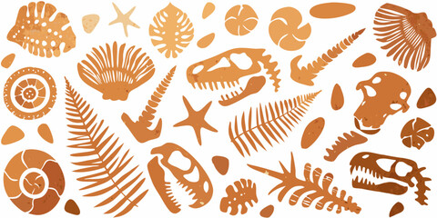Collection of fossilized prehistoric marine life and plant silhouettes © Bebdas