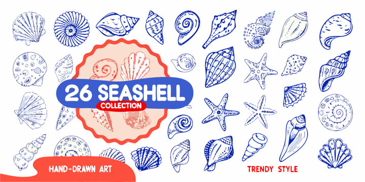 Collection of hand drawn blue line art seashells and starfish