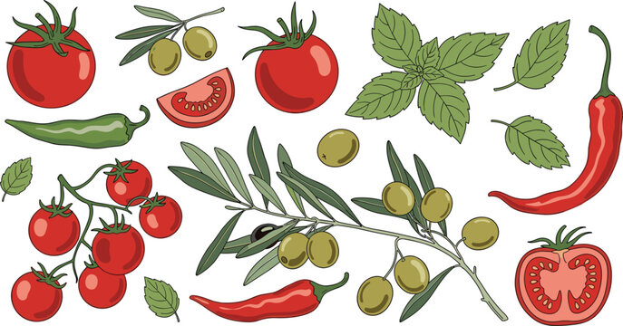 Mediterranean vegetables and herbs flat vector set. Tomatoes, olives, chili peppers, cucumber and mint leaves. Fresh organic food illustration for cooking, recipes, and healthy lifestyle design.