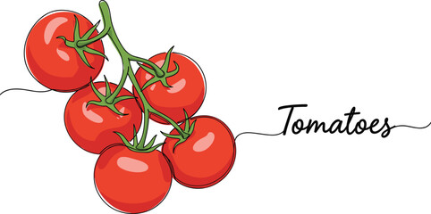 Tomato branch flat vector illustration. Fresh red tomatoes on vine with handwritten label. Organic food design for grocery, farming, and kitchen use. © ALINA