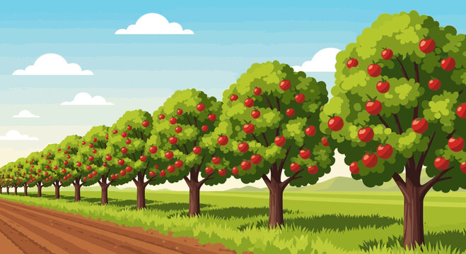 Row of ripe apple trees in a picturesque orchard under a blue sky with clouds