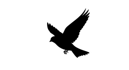 Fototapeta premium Silhouette of a bird flying with wings spread wide against a white background