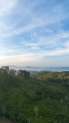 Fototapeta premium Aerial View of Green Hills and Forest