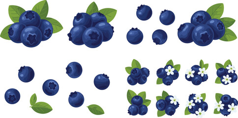 Blueberry vector set with leaves and flowers. Fresh berry elements collection isolated on white background. Organic healthy food illustration for packaging, labels and botanical design. © HELEN QUEEN