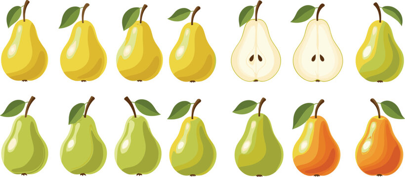 Pear fruit flat vector set. Collection of whole and sliced pears in green, yellow and orange shades. Fresh illustrations for food design, autumn and healthy eating.