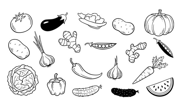 Playful vegetable doodle collection hand drawn organic menu food vector illustration