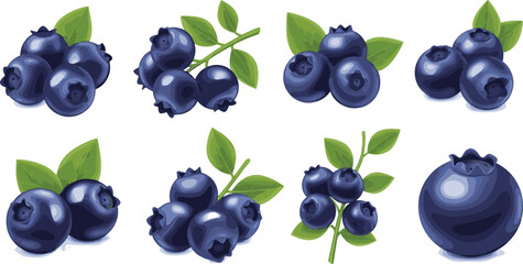 Blueberry set with clusters, branches and single berry vector elements. Fresh organic fruit with leaves in realistic glossy style. Ideal for packaging, food branding and healthy designs. © HELEN QUEEN