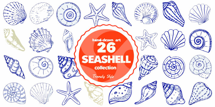 Collection of hand drawn seashells and starfish in blue ink sketches
