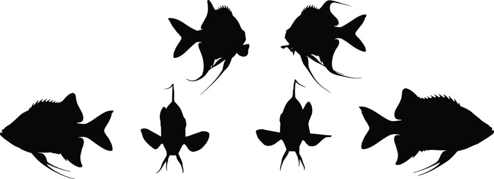 Archerfish silhouette set. Tropical aquarium vector collection with curved title and dynamic poses. Freshwater fish silhouettes isolated for logo, poster, and graphic design use.