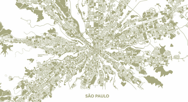 Sao Paulo City Map, Aerial View, Urban Sprawl, Street Network, White Background