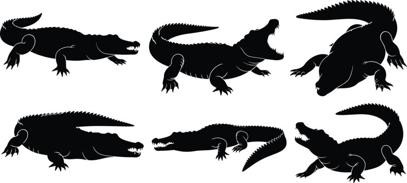 Crocodile silhouette vector set. Alligator black shapes with bold title and dynamic poses. Wild reptile collection isolated for logo, wildlife, tattoo, and graphic design use.