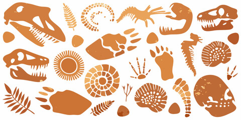 Paleontological illustrations of dinosaur fossils and prehistoric life forms © Debashis