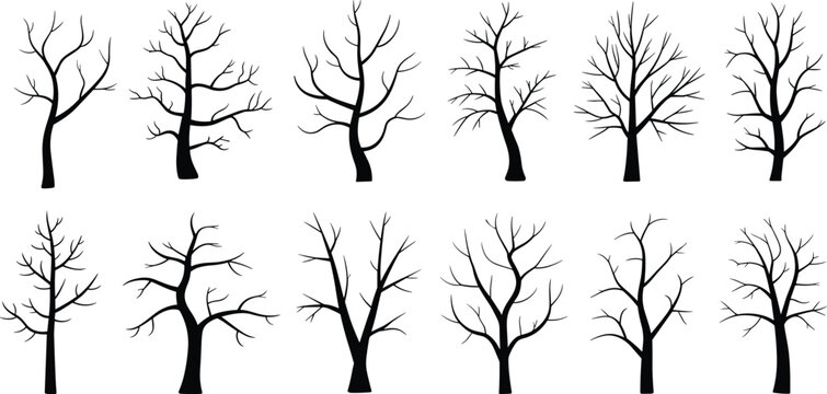 Black silhouette collection of various bare trees and leafless branches isolated on a white background for winter autumn nature and spooky graphic design elements.