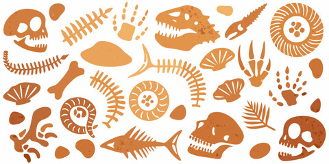 A collection of fossilized dinosaur bones shells and marine life © Lalin
