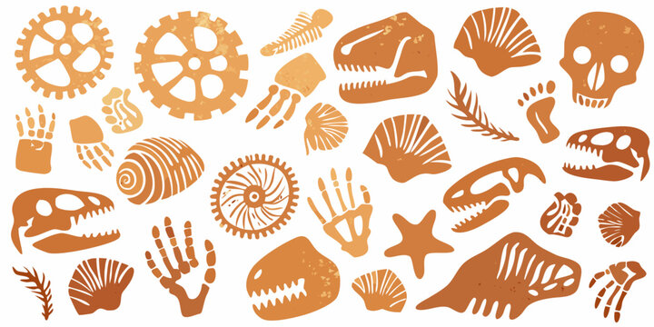 An assortment of antique orange illustrations skulls gears and fossils