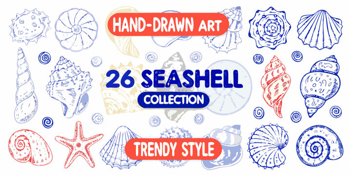 Hand drawn collection of diverse seashells in a trendy stylistic arrangement