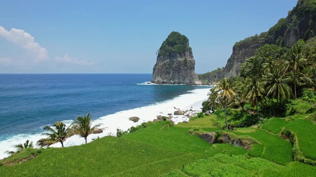 Aerial drone footage of Pangasan beach from the green rice field point of view, with the iconic rocky cliff nearby the blue sea, waves, coconut trees, in a sunny weather, in Pacitan regency, Indonesia