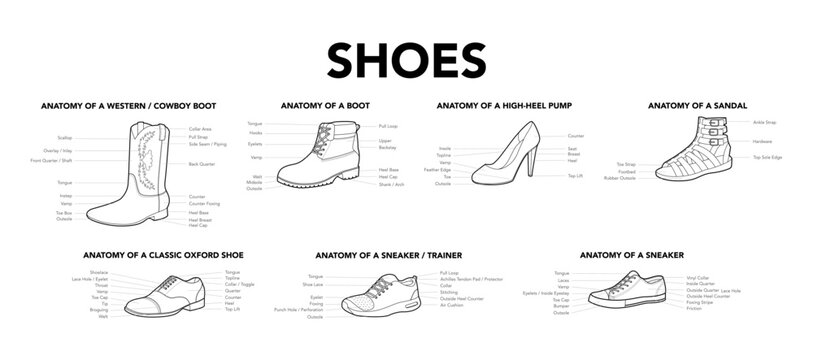 Shoes collection anatomy diagrams flat plus line set. Multi style footwear construction guide with labeled components. Technical fashion illustration CAD mockup mixed vector women men unisex 
