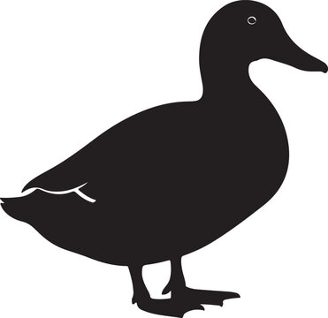 Duck Black Silhouette Vector Water Bird Animal Illustration