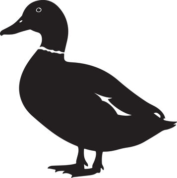 Duck Black Silhouette Vector Water Bird Animal Illustration