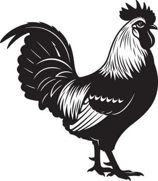 Rooster Black Silhouette Vector Farm Chicken Animal Illustration