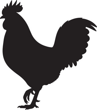 Rooster Black Silhouette Vector Farm Chicken Animal Illustration
