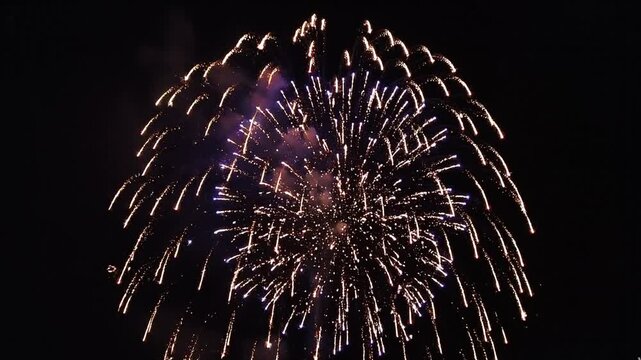 Slow Motion Fireworks Bloom in Night Sky Minimal Frame Long Exposure Glow Trails