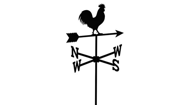 Black rooster weather vane directional sign.