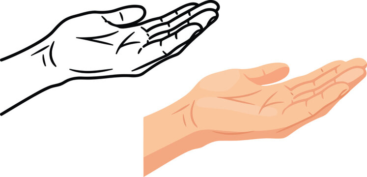Human Open Hand Palm Upward Gesture Vector Illustration Set on White Background